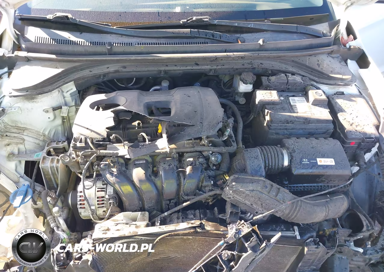 2019 Hyundai Elantra Sel VIN:5NPD84LF2KH439935 - 10
