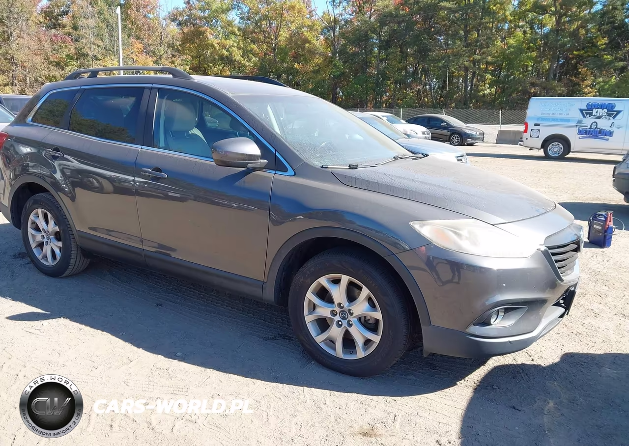 2014 Mazda Cx-9 Touring VIN:JM3TB3CV5E0425597 - 1