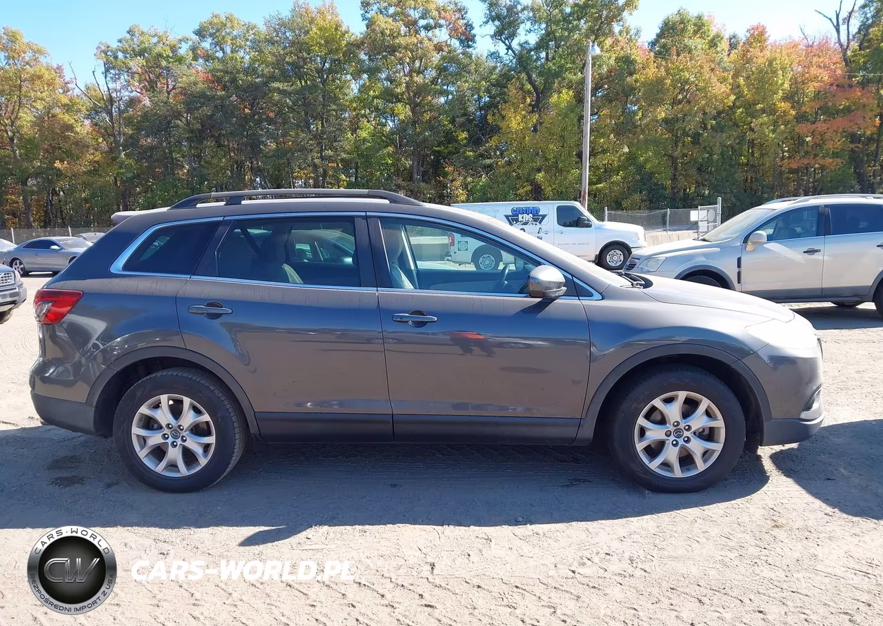 2014 Mazda Cx-9 Touring VIN:JM3TB3CV5E0425597 - 13