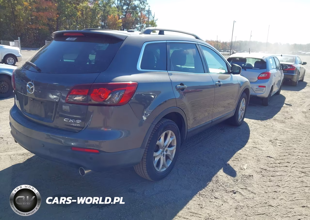 2014 Mazda Cx-9 Touring VIN:JM3TB3CV5E0425597 - 4