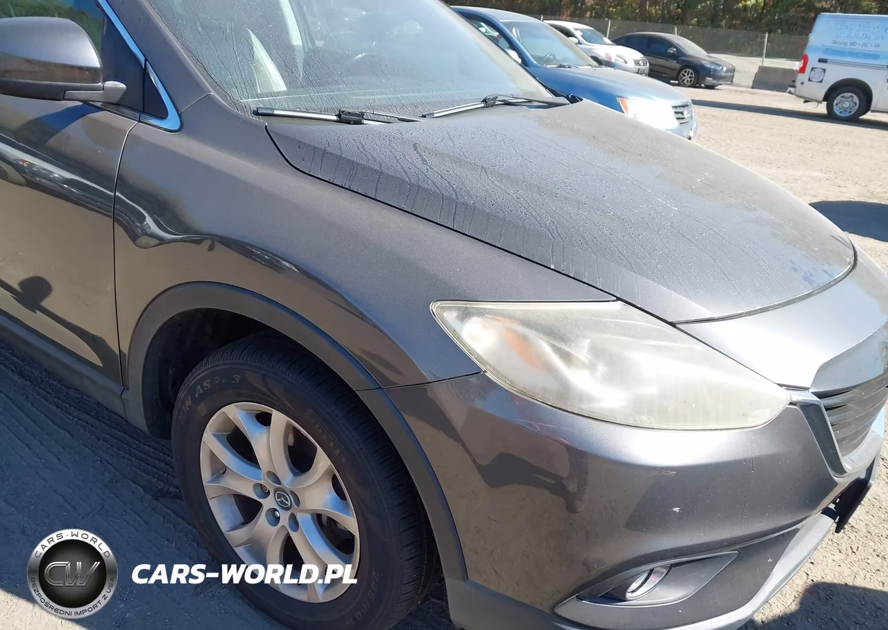 2014 Mazda Cx-9 Touring VIN:JM3TB3CV5E0425597 - 6