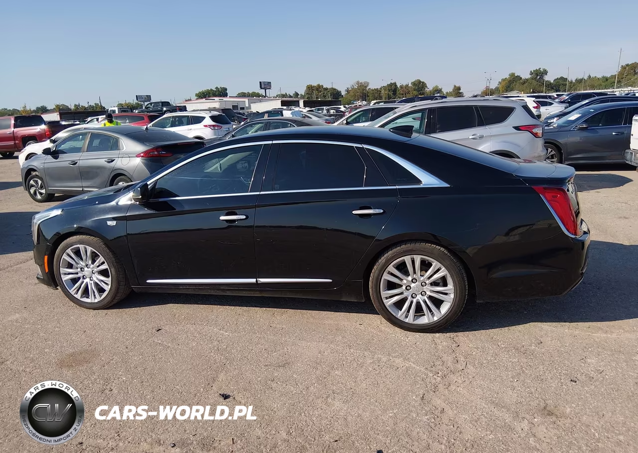 2019 Cadillac Xts Luxury VIN:2G61M5S38K9149619 - 14
