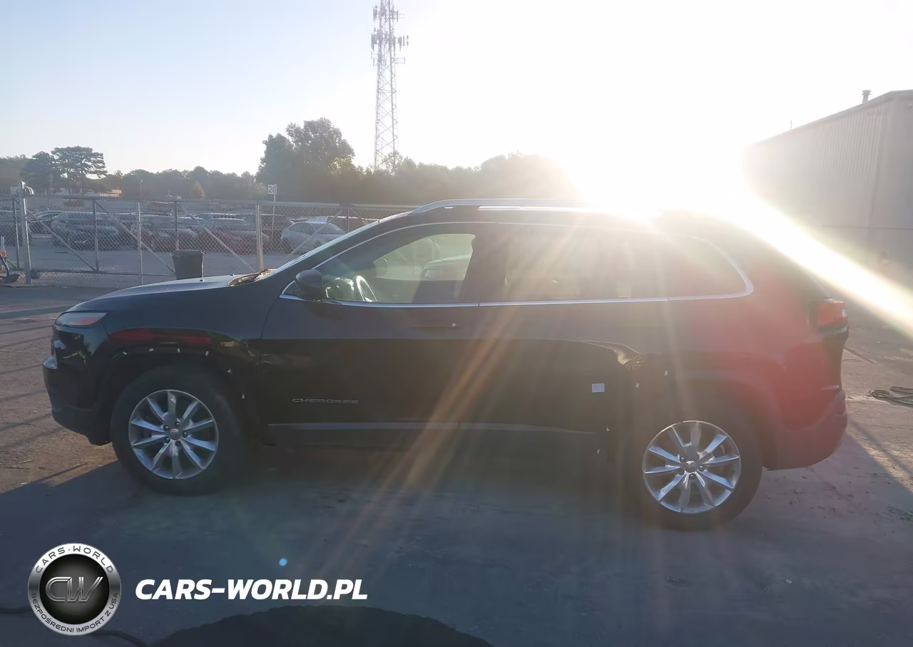 2016 JEEP CHEROKEE LIMITED VIN:1C4PJMDSXGW104422 - 14