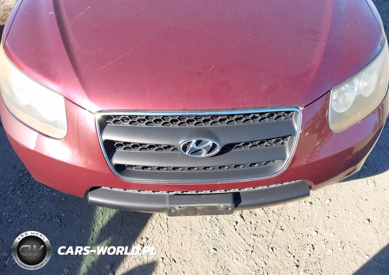 2007 Hyundai Santa Fe Gls VIN:5NMSG73D47H097466 - 6