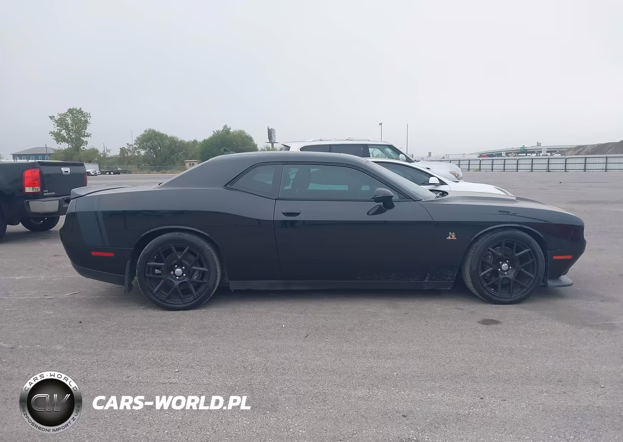 2015 Dodge Challenger R-T Scat Pack VIN:2C3CDZFJ7FH842624 - 13