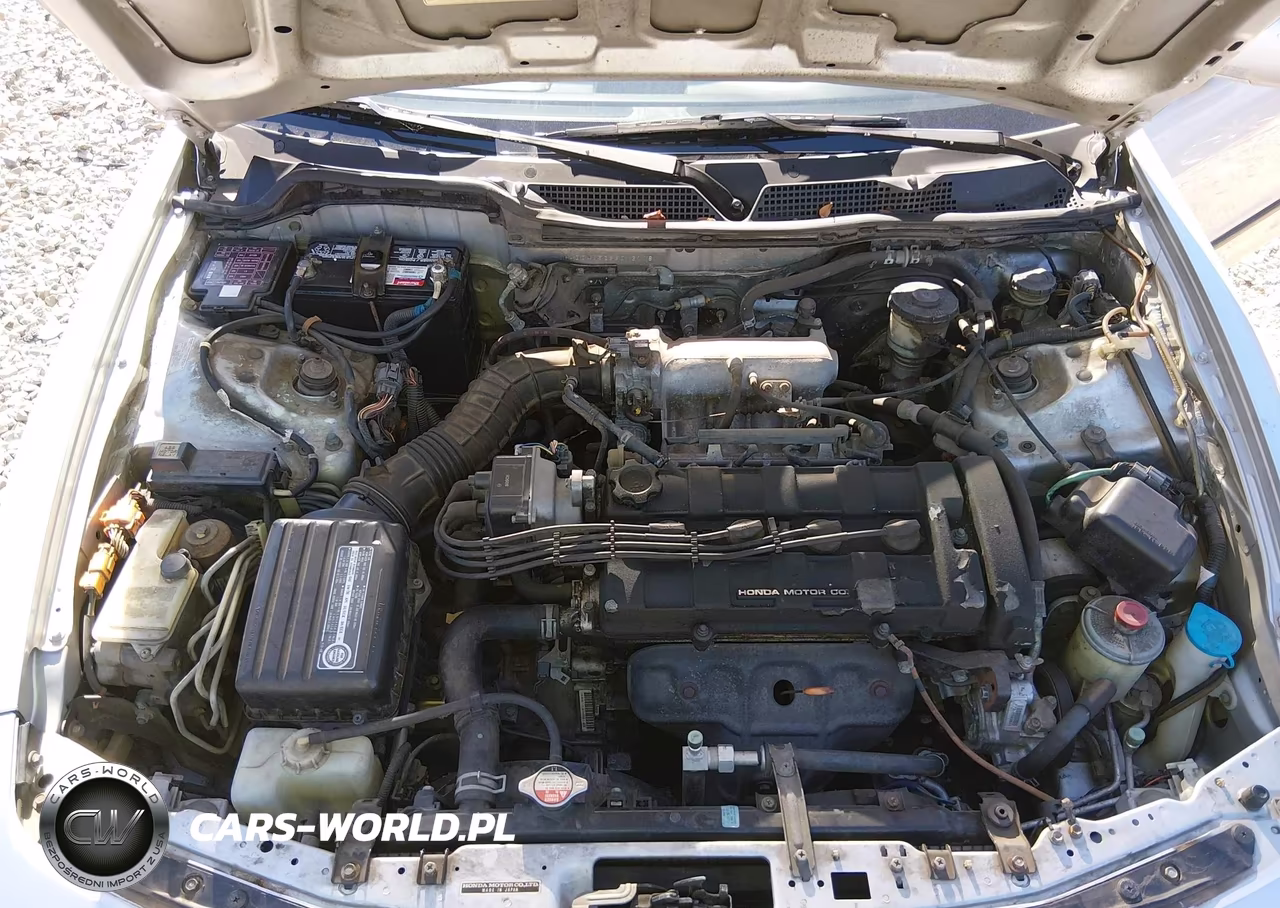 1995 Acura Integra Ls VIN:JH4DC4352SS013118 - 10