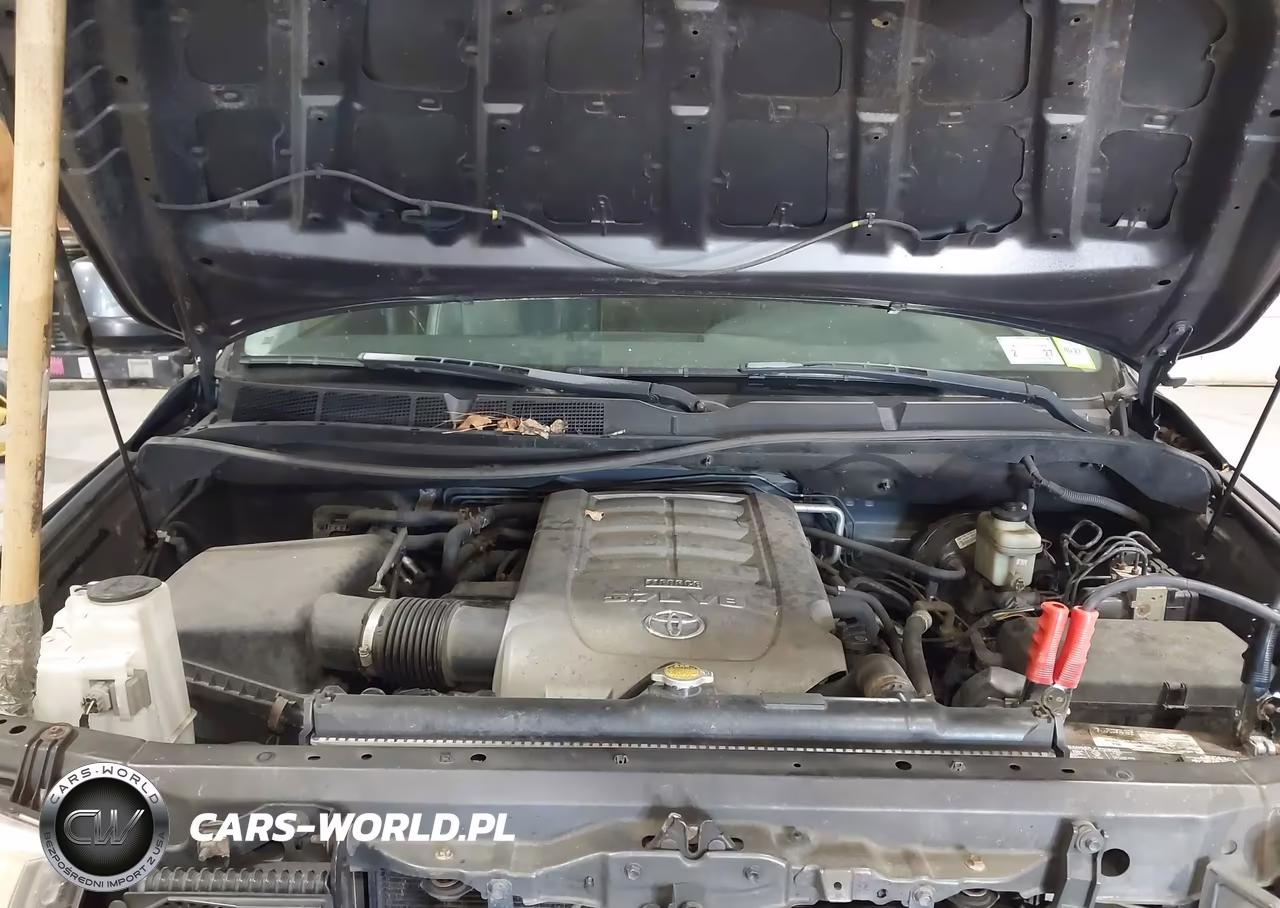 2008 Toyota Sequoia Sr5 5.7L V8 VIN:5TDBY64AX8S004993 - 10