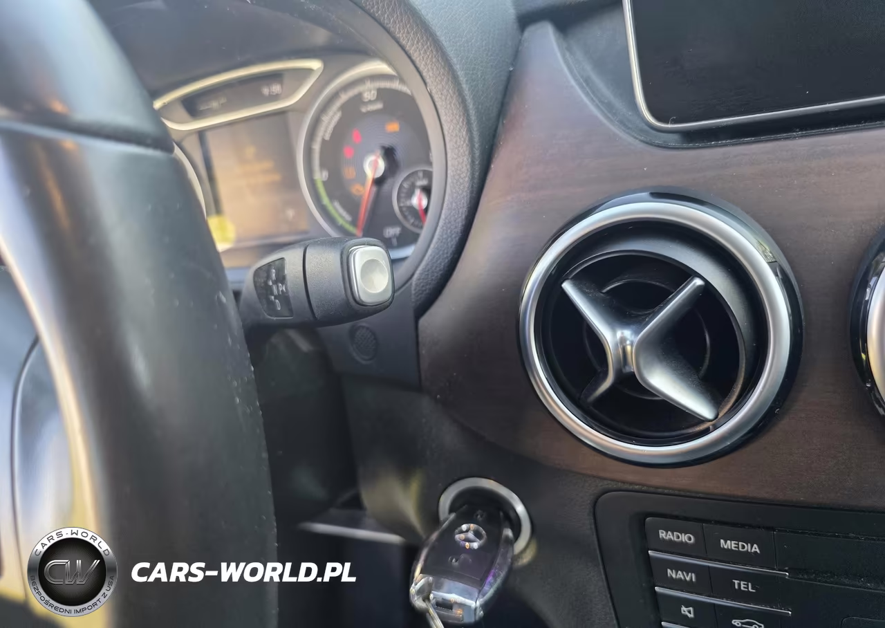 2015 Mercedes-Benz B-Class Electric Drive VIN:WDDVP9AB8FJ005610 - 11