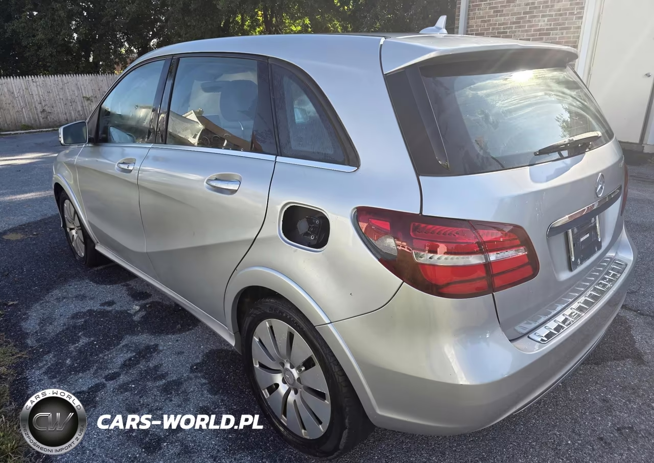 2015 Mercedes-Benz B-Class Electric Drive VIN:WDDVP9AB8FJ005610 - 3