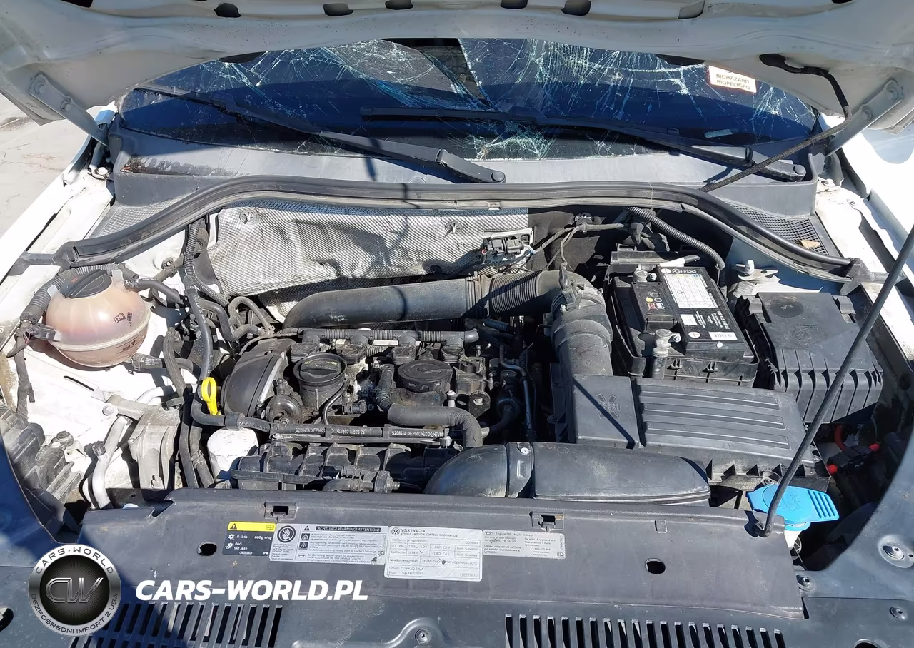 2014 Volkswagen Tiguan Sel VIN:WVGAV3AXXEW540958 - 10