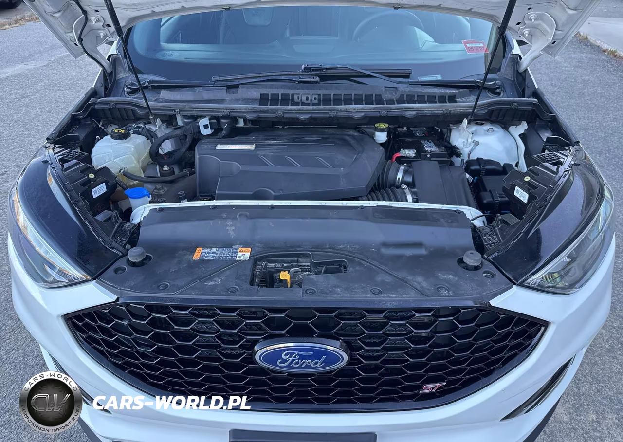 2020 Ford Edge St VIN:2FMPK4AP5LBA83208 - 10
