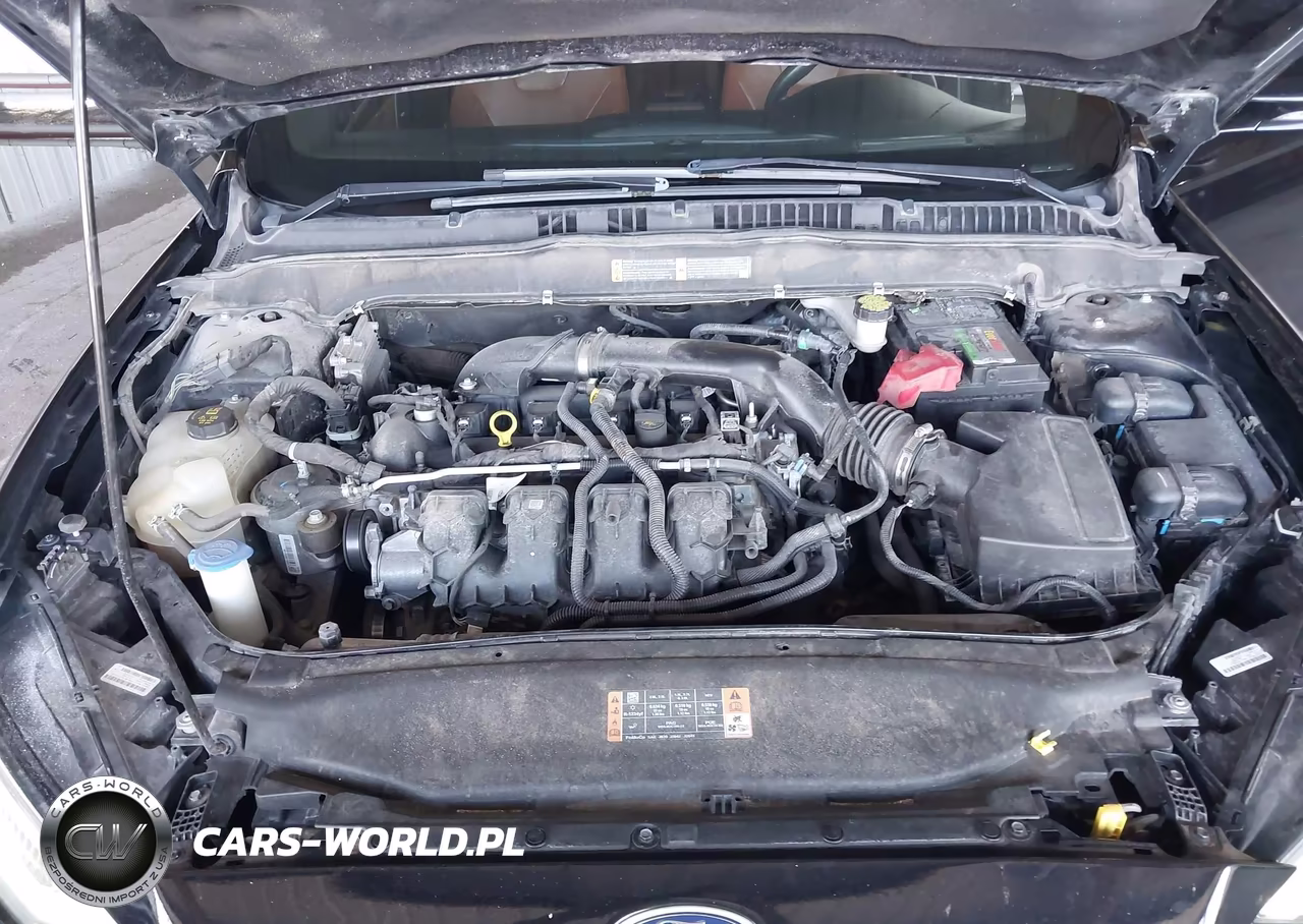FORD FUSION VIN:3FA6P0K94LR175900 - 10