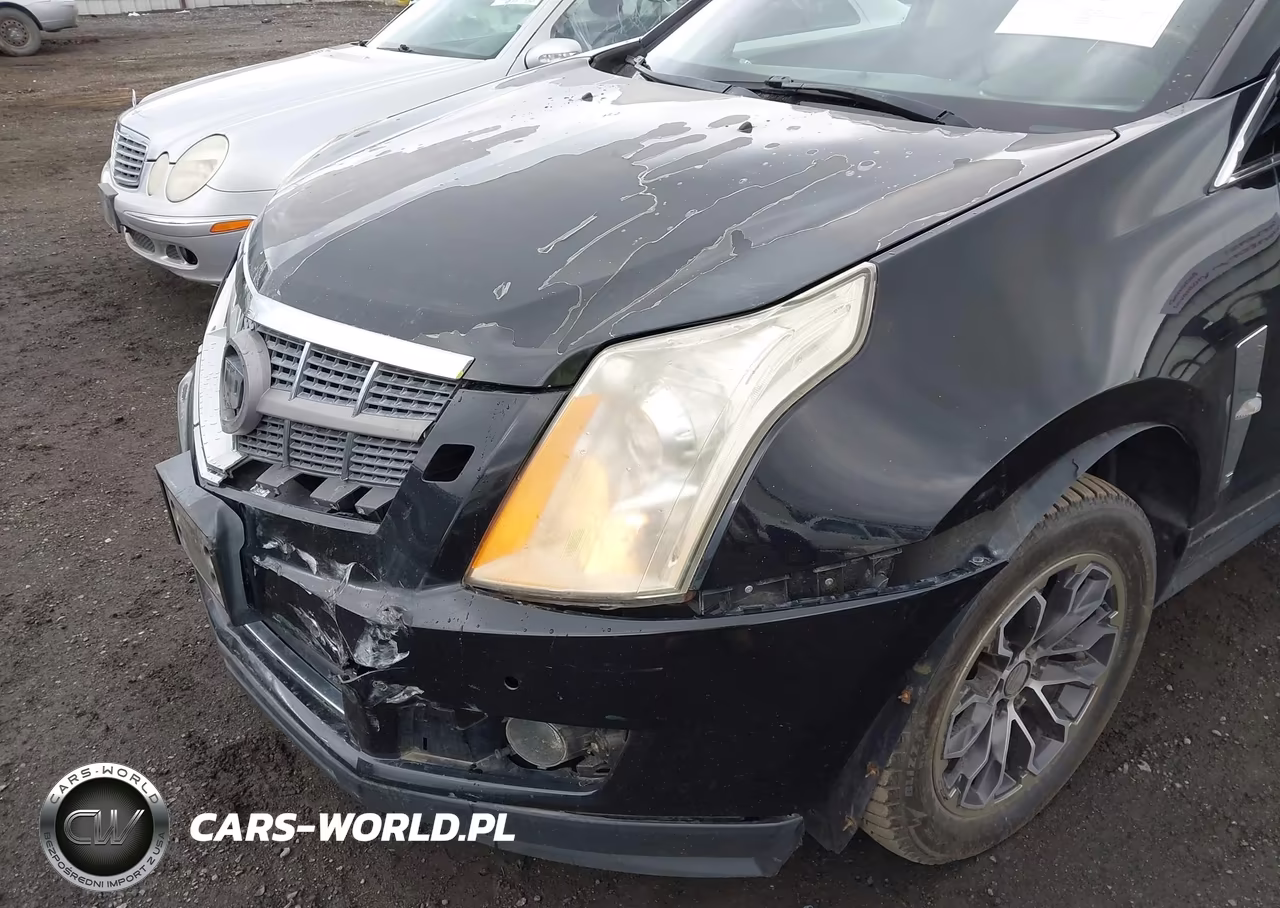 2010 Cadillac Srx Premium Collection VIN:3GYFNFEY6AS502397 - 13
