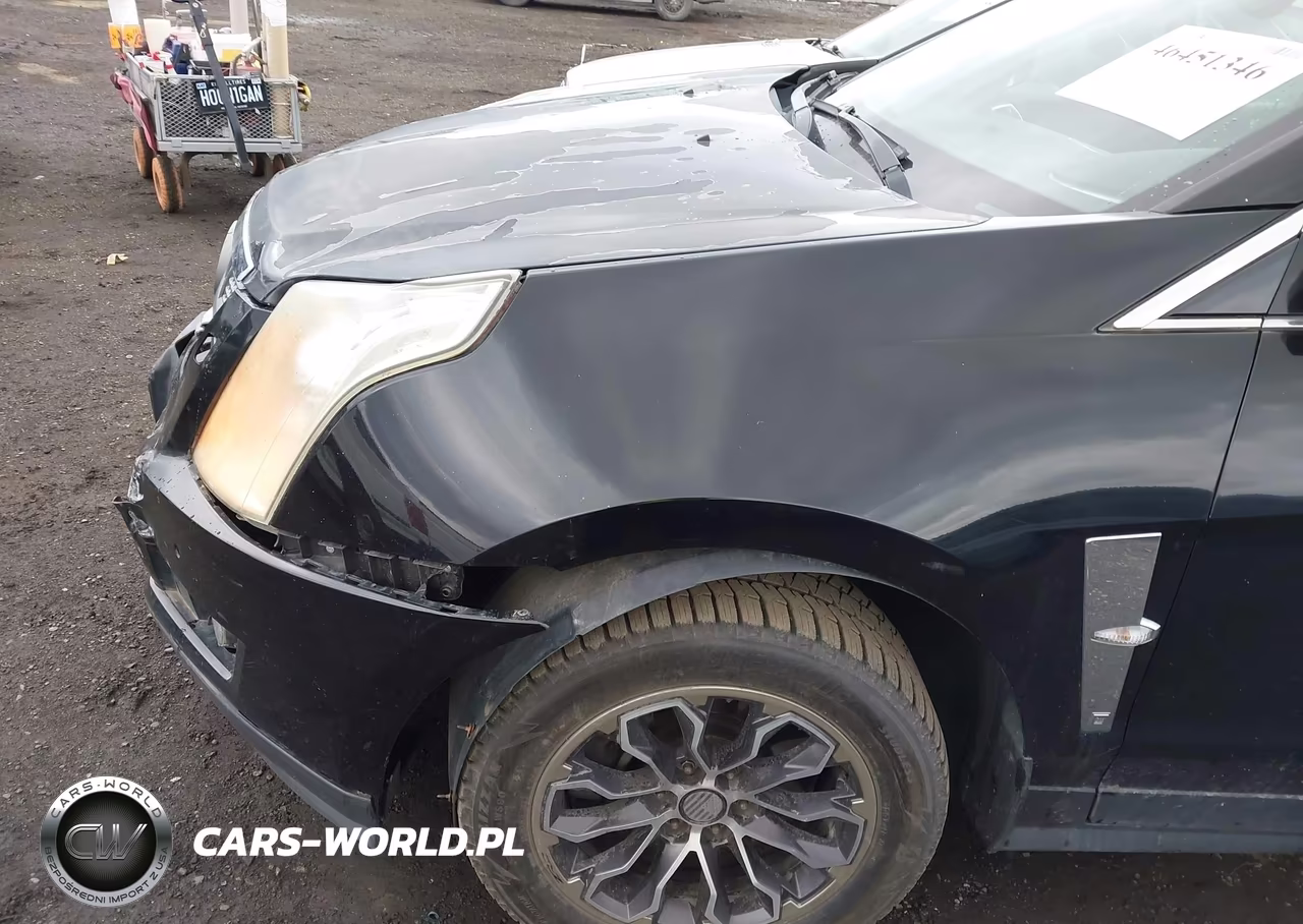 2010 Cadillac Srx Premium Collection VIN:3GYFNFEY6AS502397 - 6