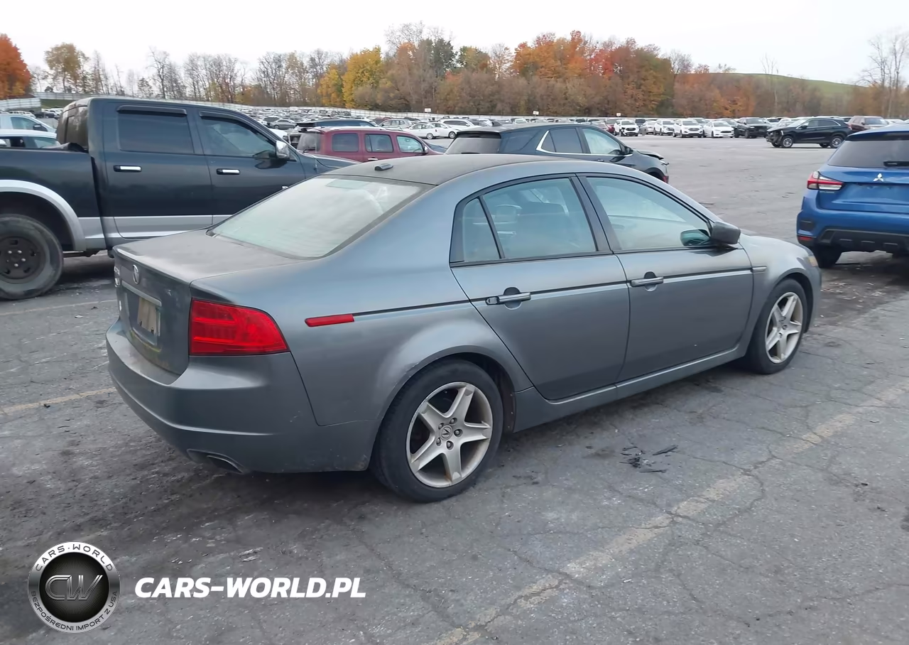 2005 Acura Tl VIN:19UUA66225A023048 - 4