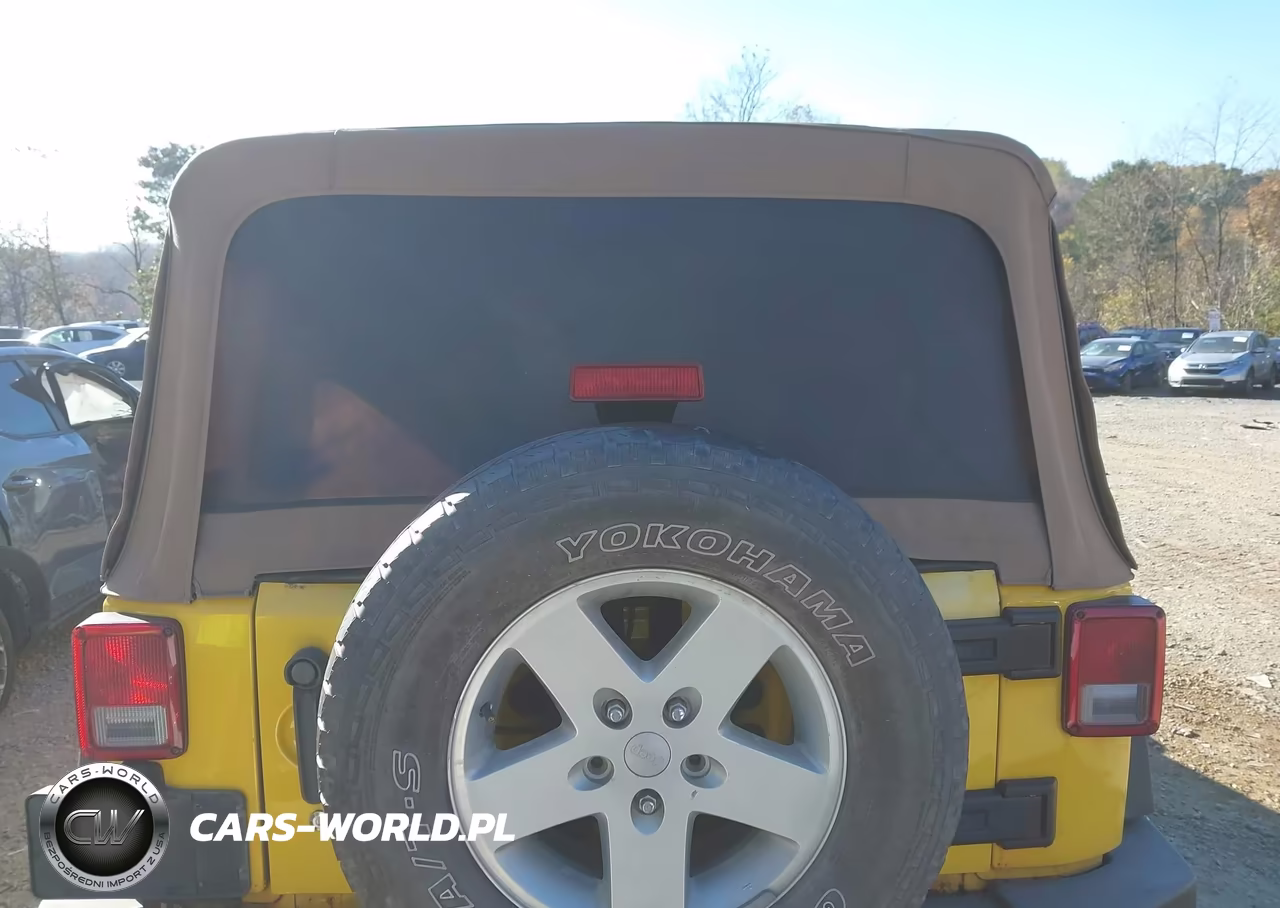 2009 Jeep Wrangler Unlimited X VIN:1J4GA391X9L747118 - 16
