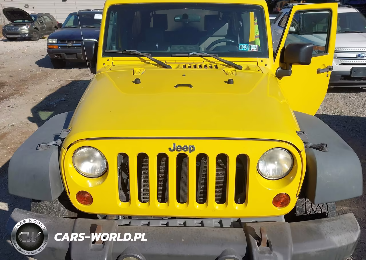 2009 Jeep Wrangler Unlimited X VIN:1J4GA391X9L747118 - 6