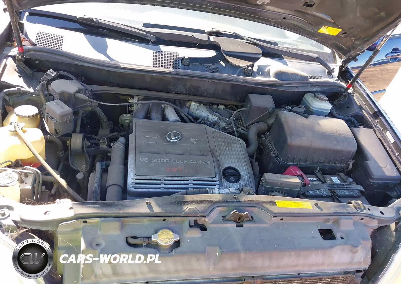 2003 Lexus Rx 300 VIN:JTJHF10U430295809 - 10