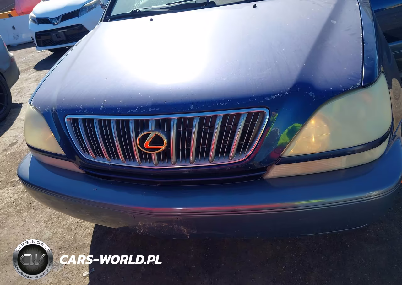 2003 Lexus Rx 300 VIN:JTJHF10U430295809 - 6