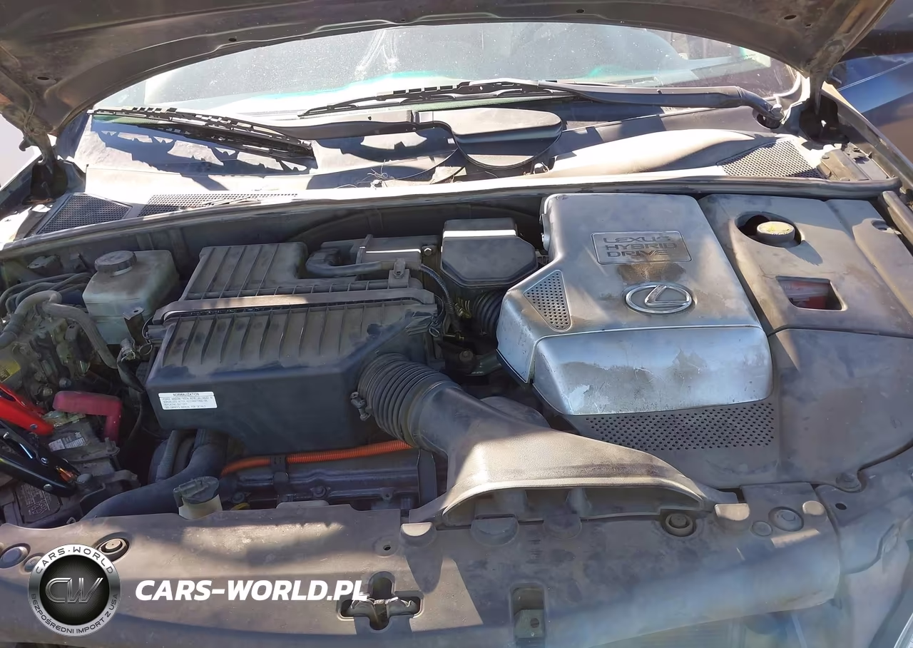 2007 Lexus Rx 400H VIN:JTJGW31U772003554 - 10