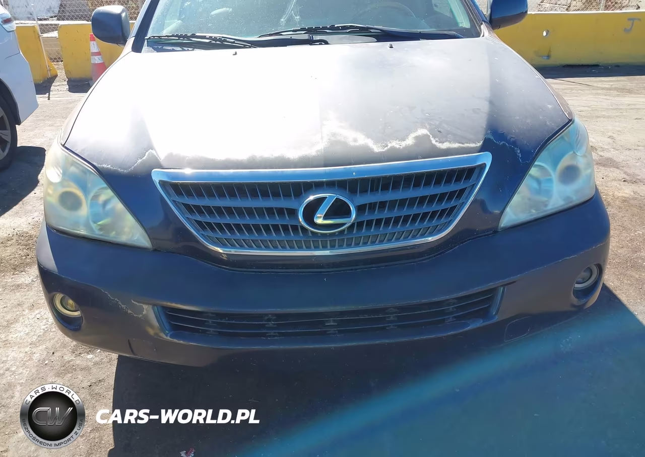 2007 Lexus Rx 400H VIN:JTJGW31U772003554 - 6