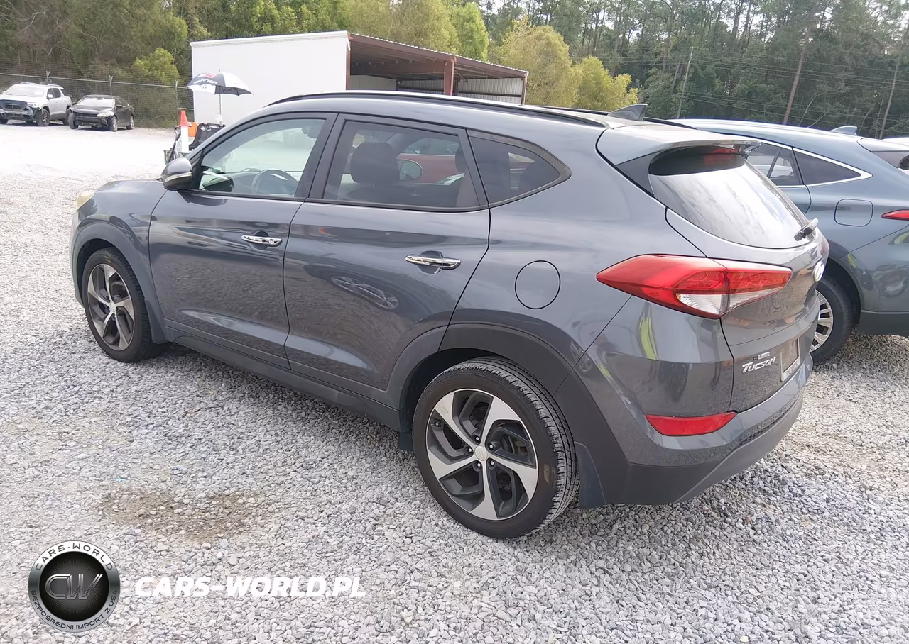 2016 Hyundai Tucson Limited VIN:KM8J33A25GU124793 - 3