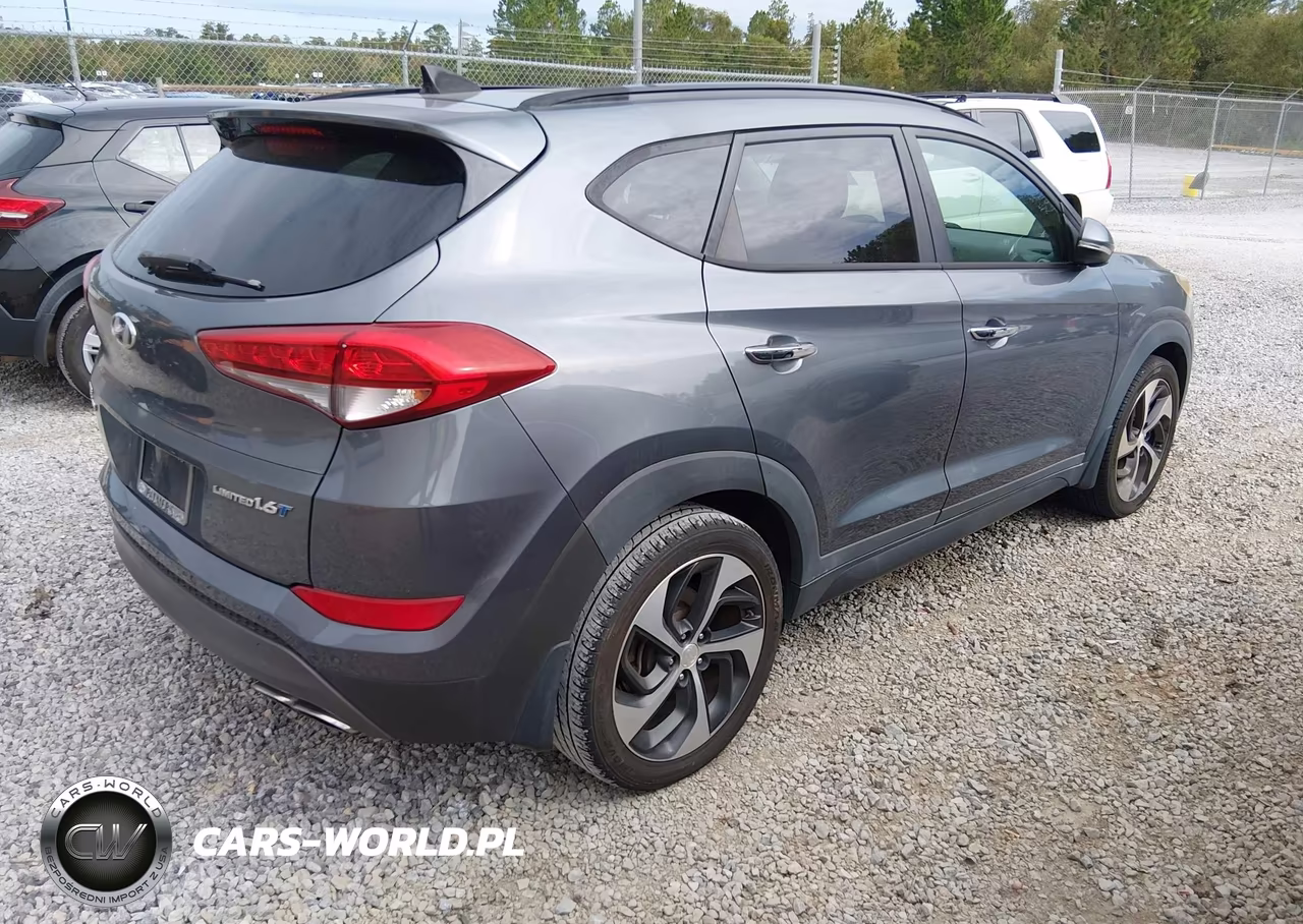 2016 Hyundai Tucson Limited VIN:KM8J33A25GU124793 - 4