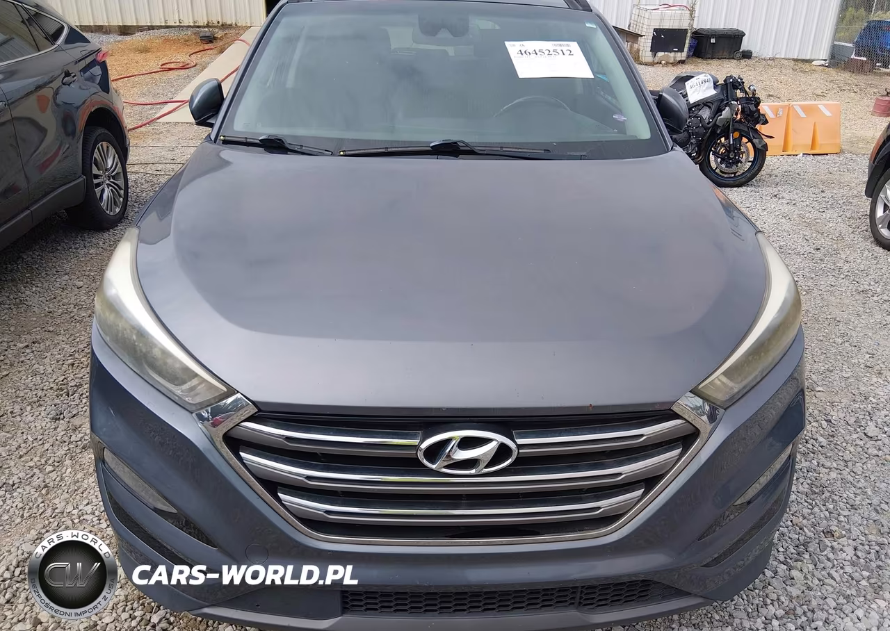 2016 Hyundai Tucson Limited VIN:KM8J33A25GU124793 - 6
