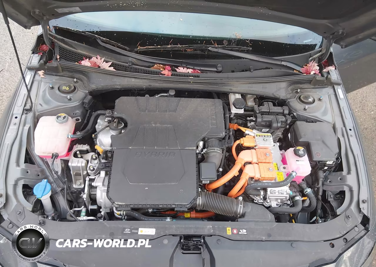 2025 Hyundai Elantra Hybrid Limited VIN:KMHLN4DJXSU163531 - 10