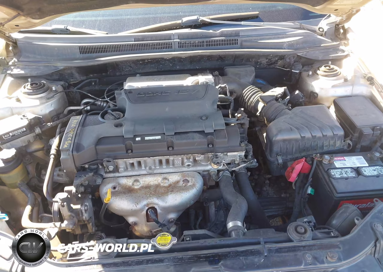 2004 Kia Spectra Ex-Lx VIN:KNAFE121745043909 - 10