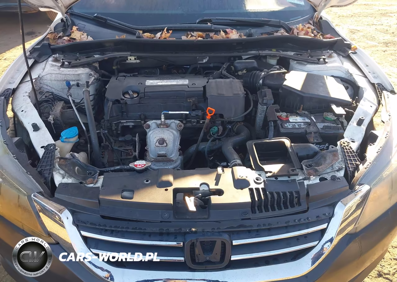 2014 Honda Accord Ex-L VIN:1HGCR2F84EA139465 - 10
