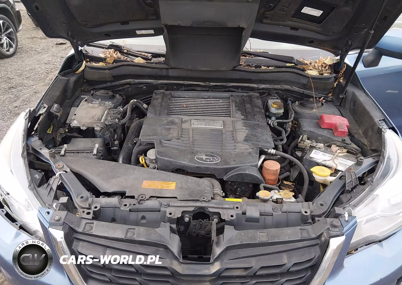 2017 Subaru Forester 2.0Xt Premium VIN:JF2SJGECXHH440825 - 10