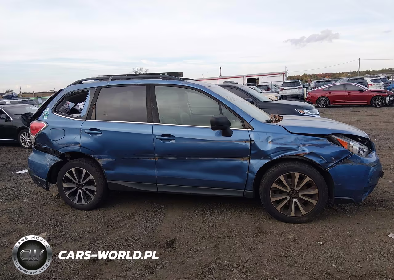 2017 Subaru Forester 2.0Xt Premium VIN:JF2SJGECXHH440825 - 13