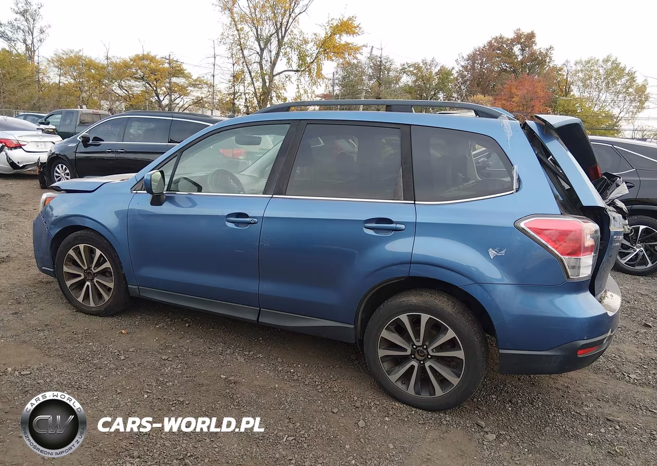 2017 Subaru Forester 2.0Xt Premium VIN:JF2SJGECXHH440825 - 14