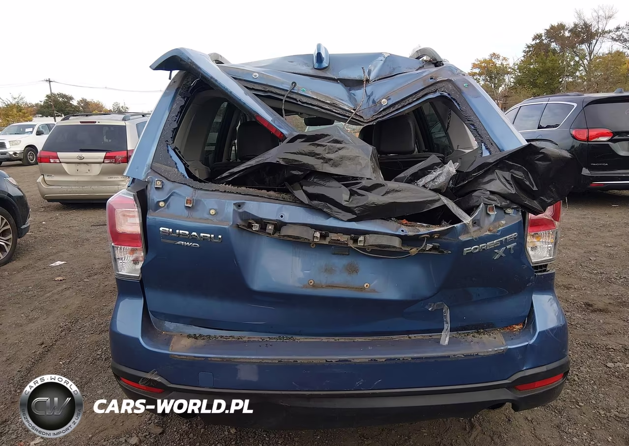 2017 Subaru Forester 2.0Xt Premium VIN:JF2SJGECXHH440825 - 16