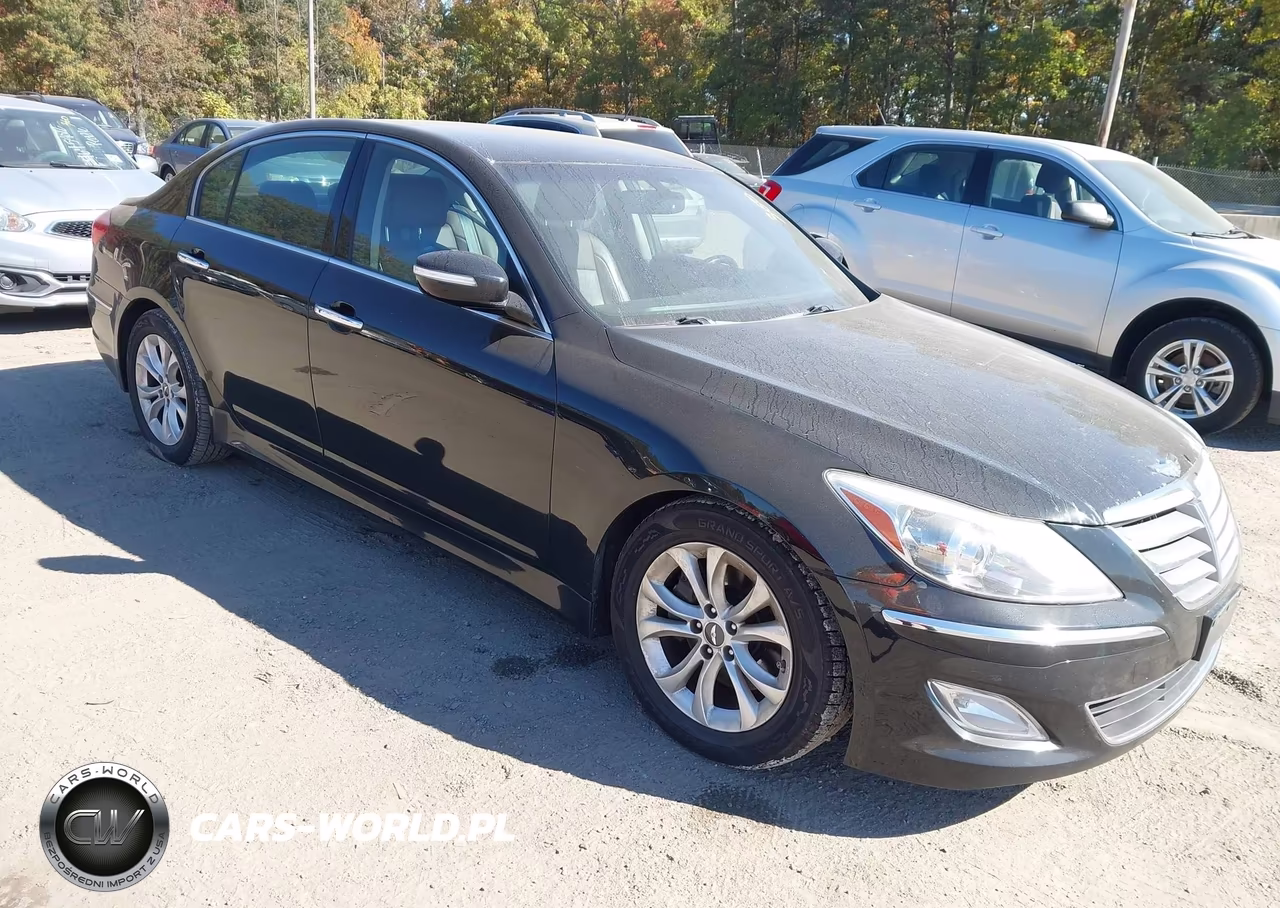 2013 Hyundai Genesis 3.8 VIN:KMHGC4DD1DU209641 - 1