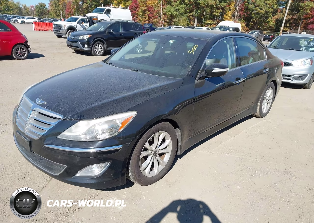 2013 Hyundai Genesis 3.8 VIN:KMHGC4DD1DU209641 - 2