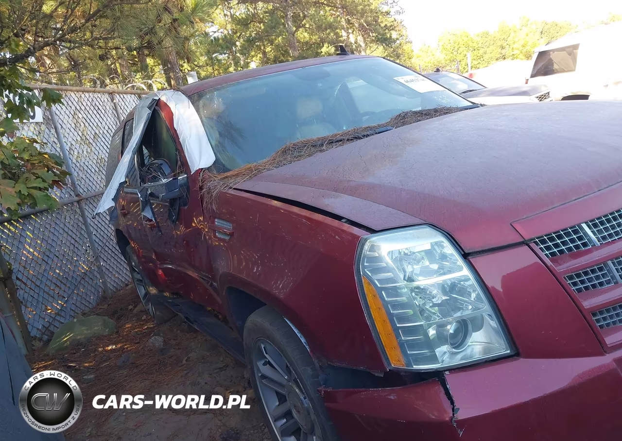 2012 Cadillac Escalade Premium VIN:1GYS3CEF5CR314266 - 13