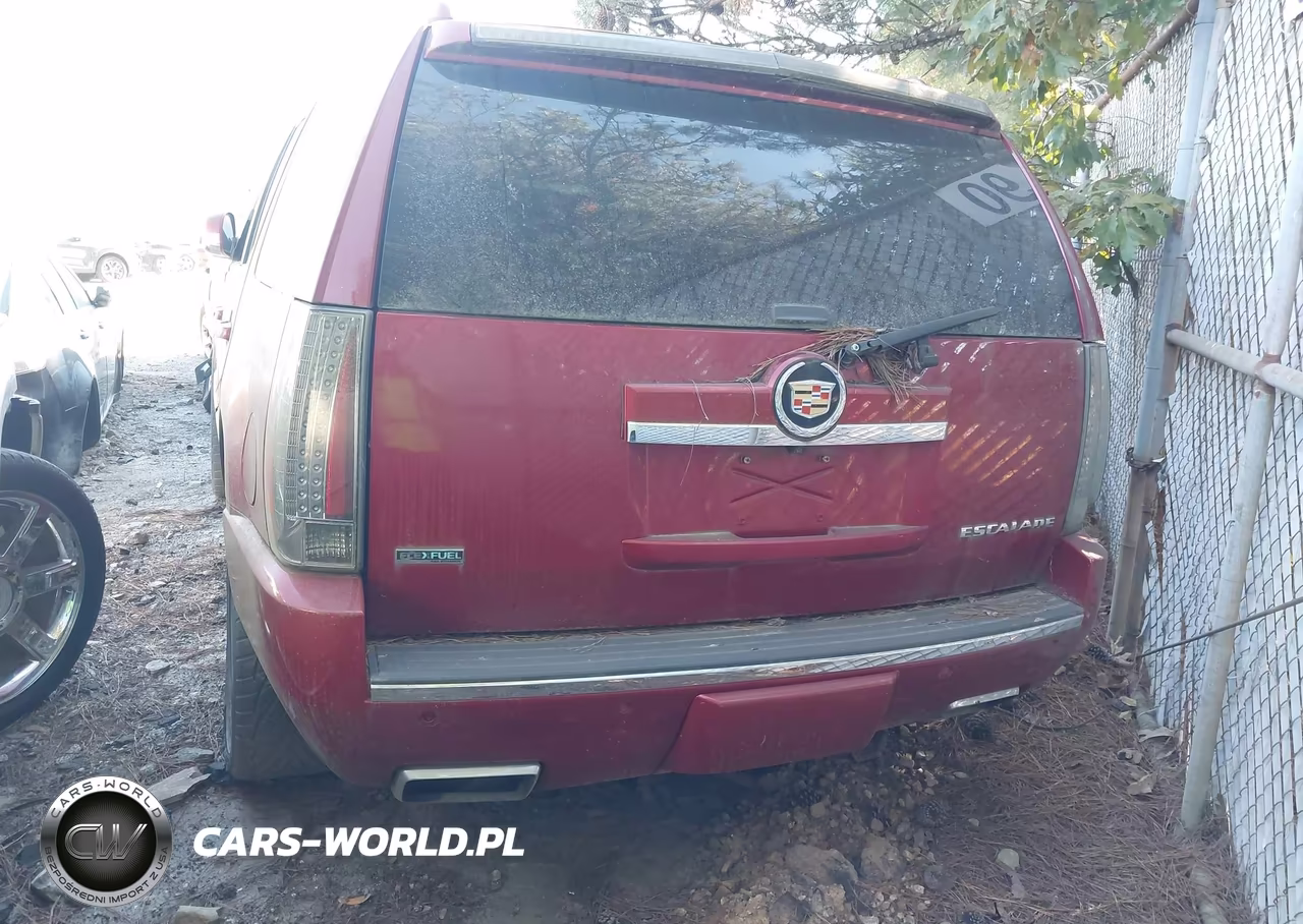 2012 Cadillac Escalade Premium VIN:1GYS3CEF5CR314266 - 3