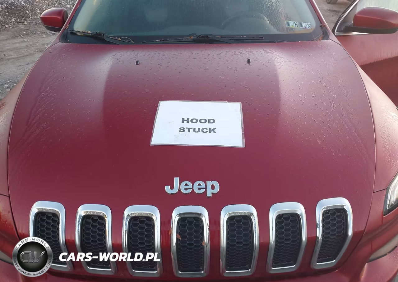 2014 Jeep Cherokee Latitude VIN:1C4PJMCS3EW290867 - 10