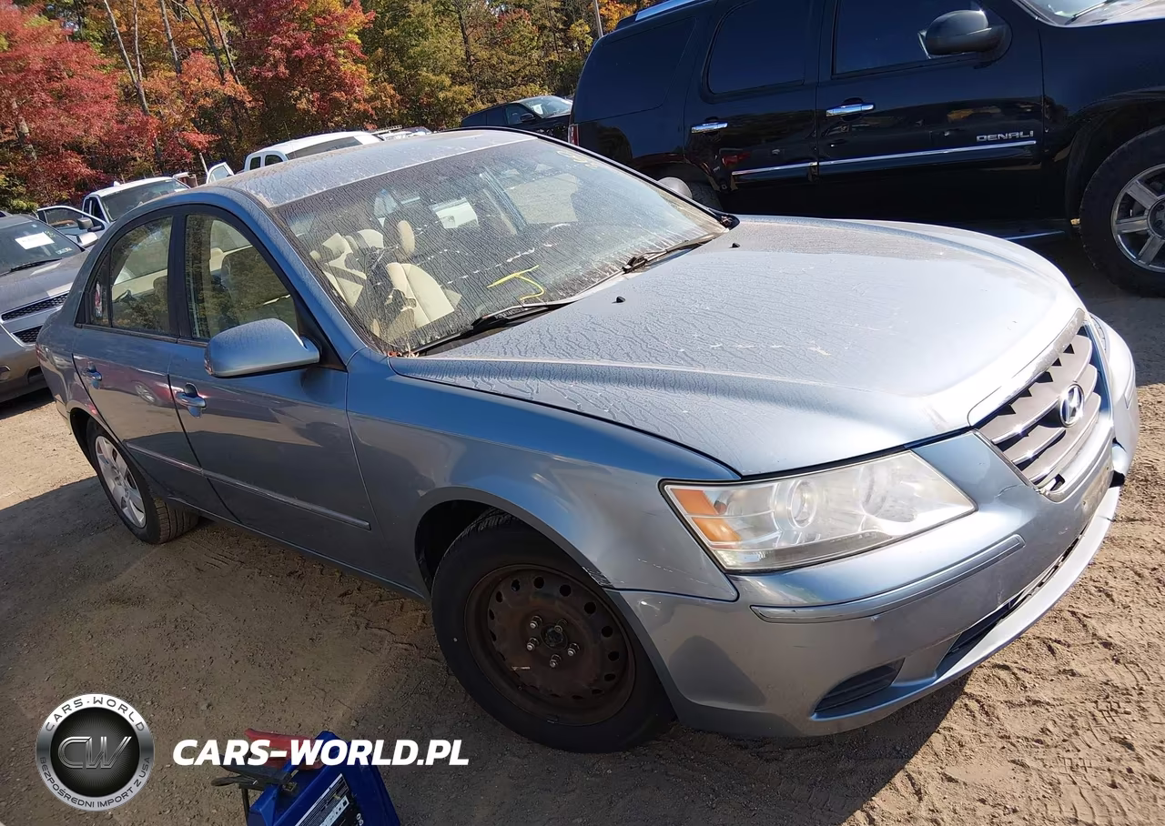 2010 Hyundai Sonata Gls VIN:5NPET4ACXAH639620 - 1