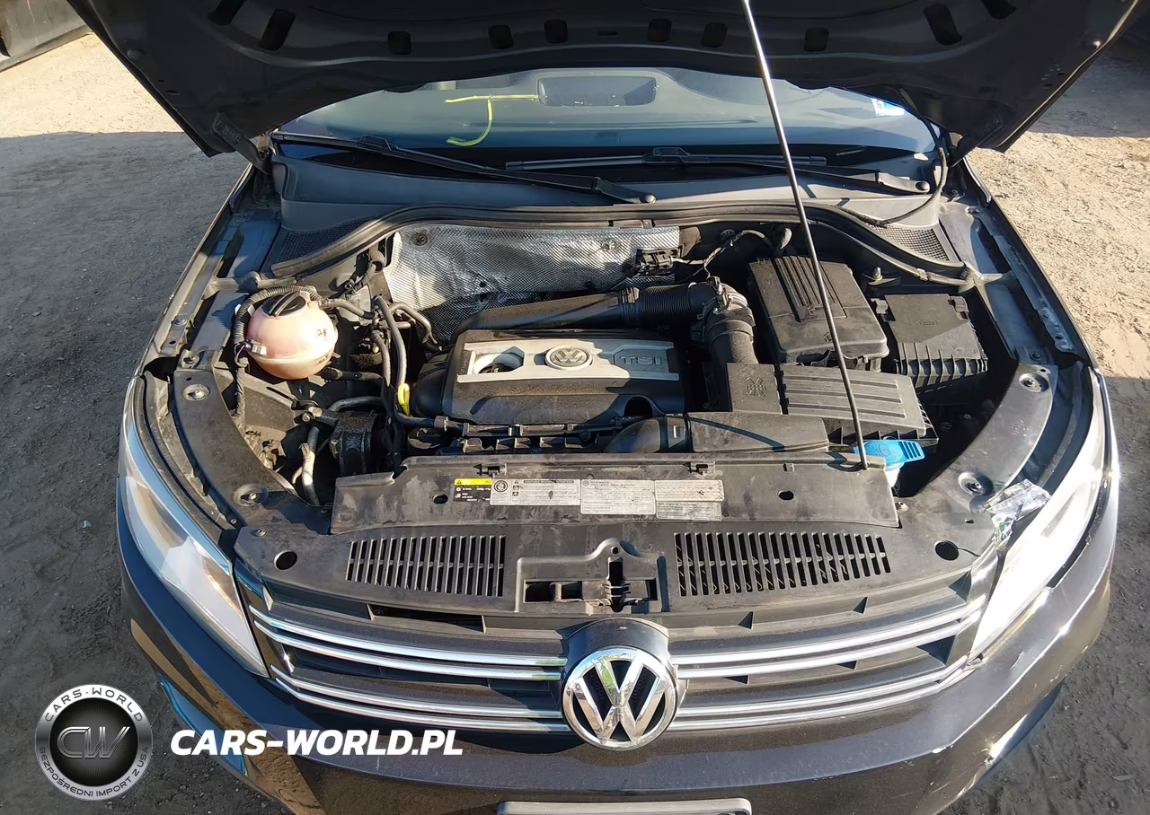2016 Volkswagen Tiguan S VIN:WVGBV7AXXGW556107 - 10