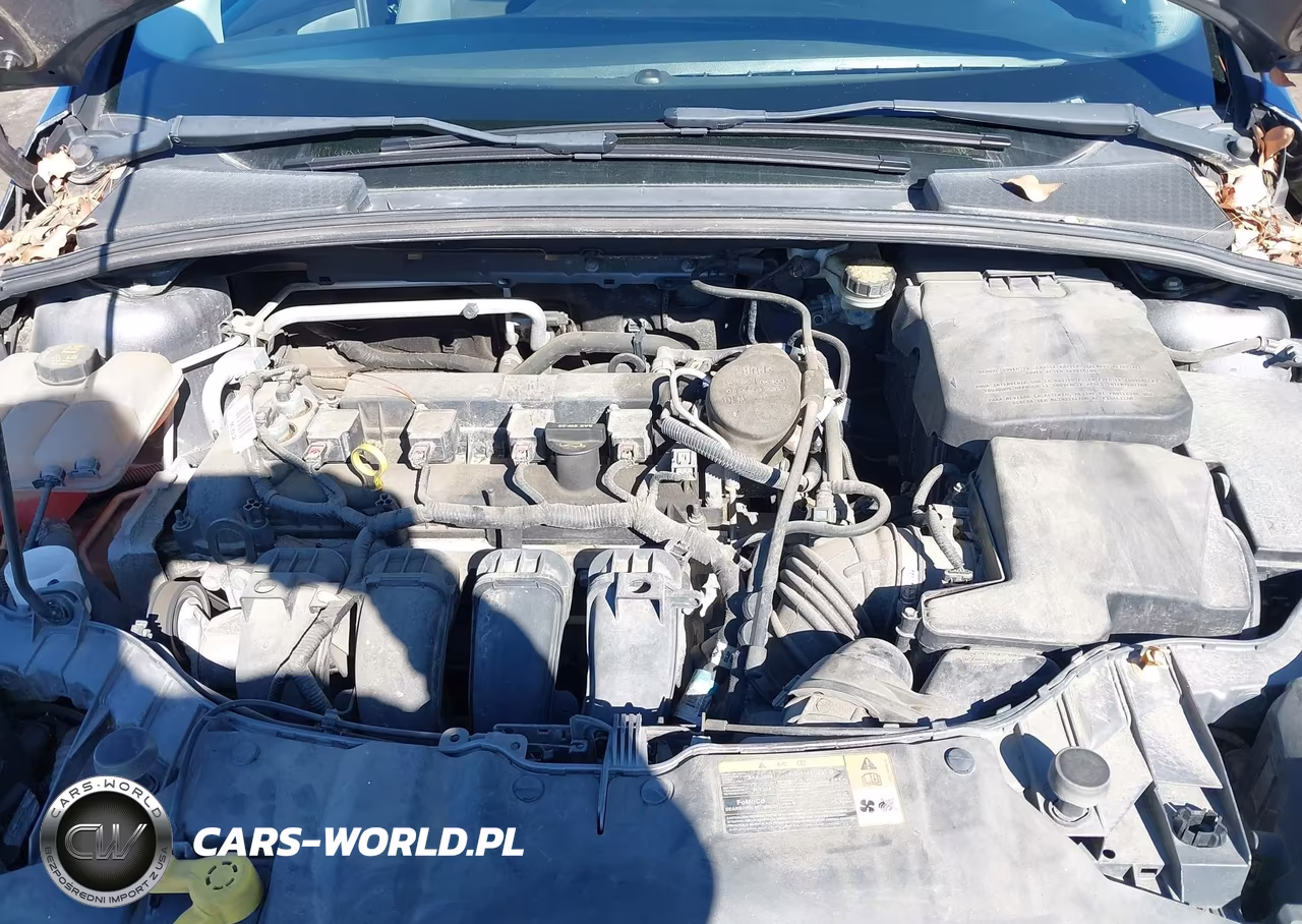2014 Ford Focus Se VIN:1FADP3K26EL143883 - 10