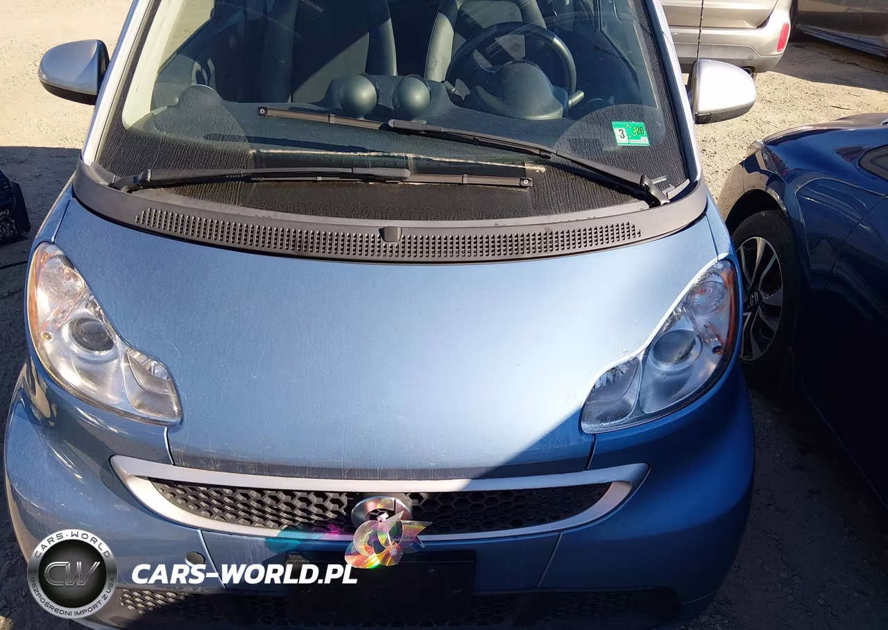 2014 Smart Fortwo Electric Drive Passion VIN:WMEEJ9AAXEK778091 - 10