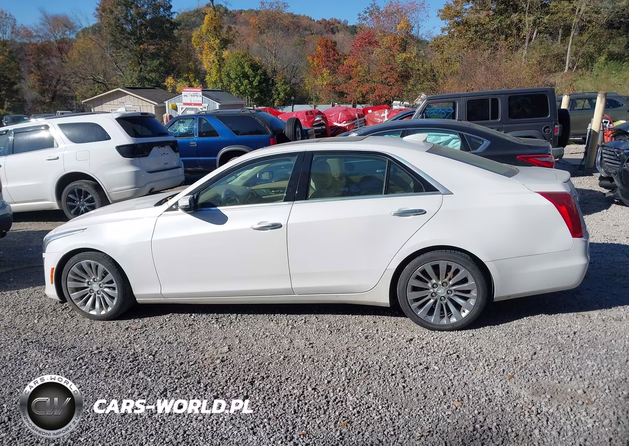2016 Cadillac Cts Luxury Collection VIN:1G6AX5SX2G0194809 - 14