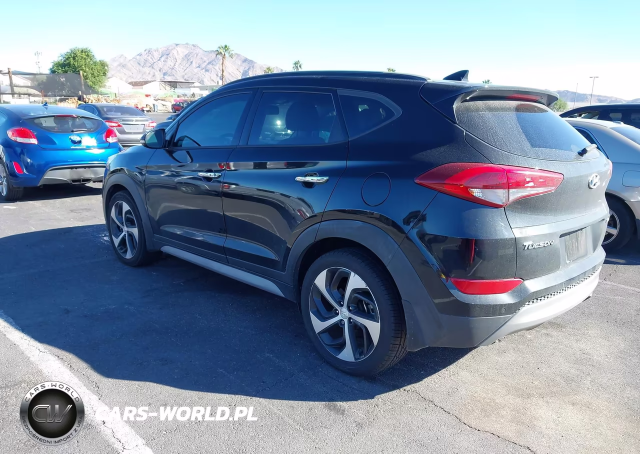 2017 Hyundai Tucson Limited VIN:KM8J33A25HU517825 - 3