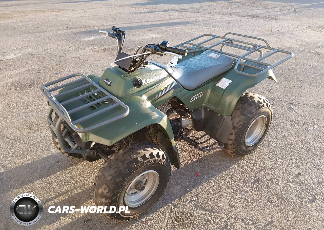 2006 Kawasaki Klf250 A Bayou – zdjęcie 1 z 13