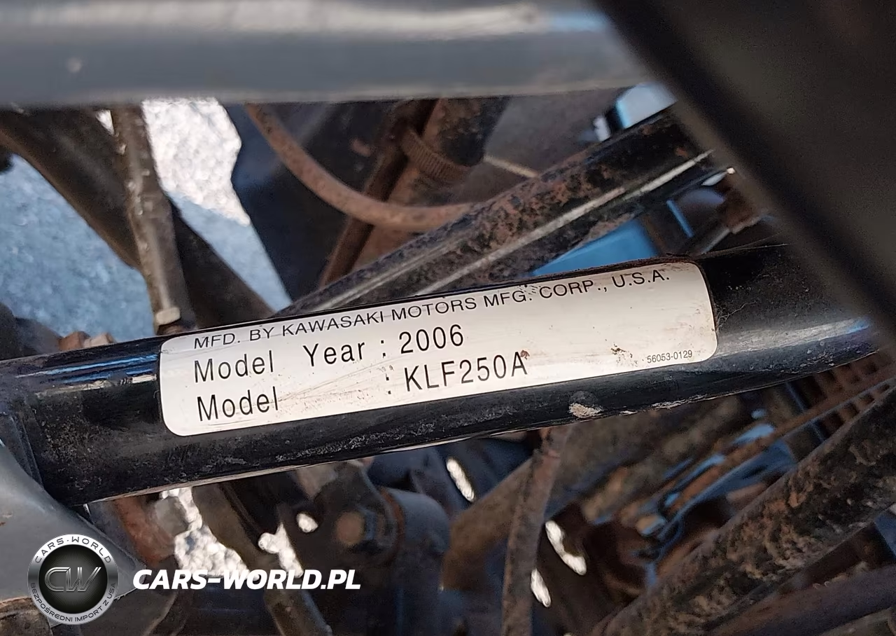 2006 Kawasaki Klf250 A Bayou VIN:JKALFMA116B553841 - 10