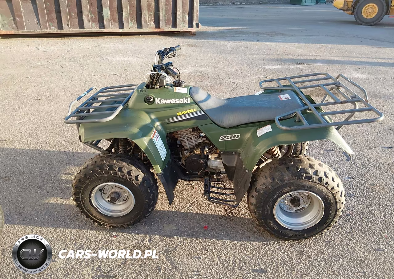 2006 Kawasaki Klf250 A Bayou VIN:JKALFMA116B553841 - 12