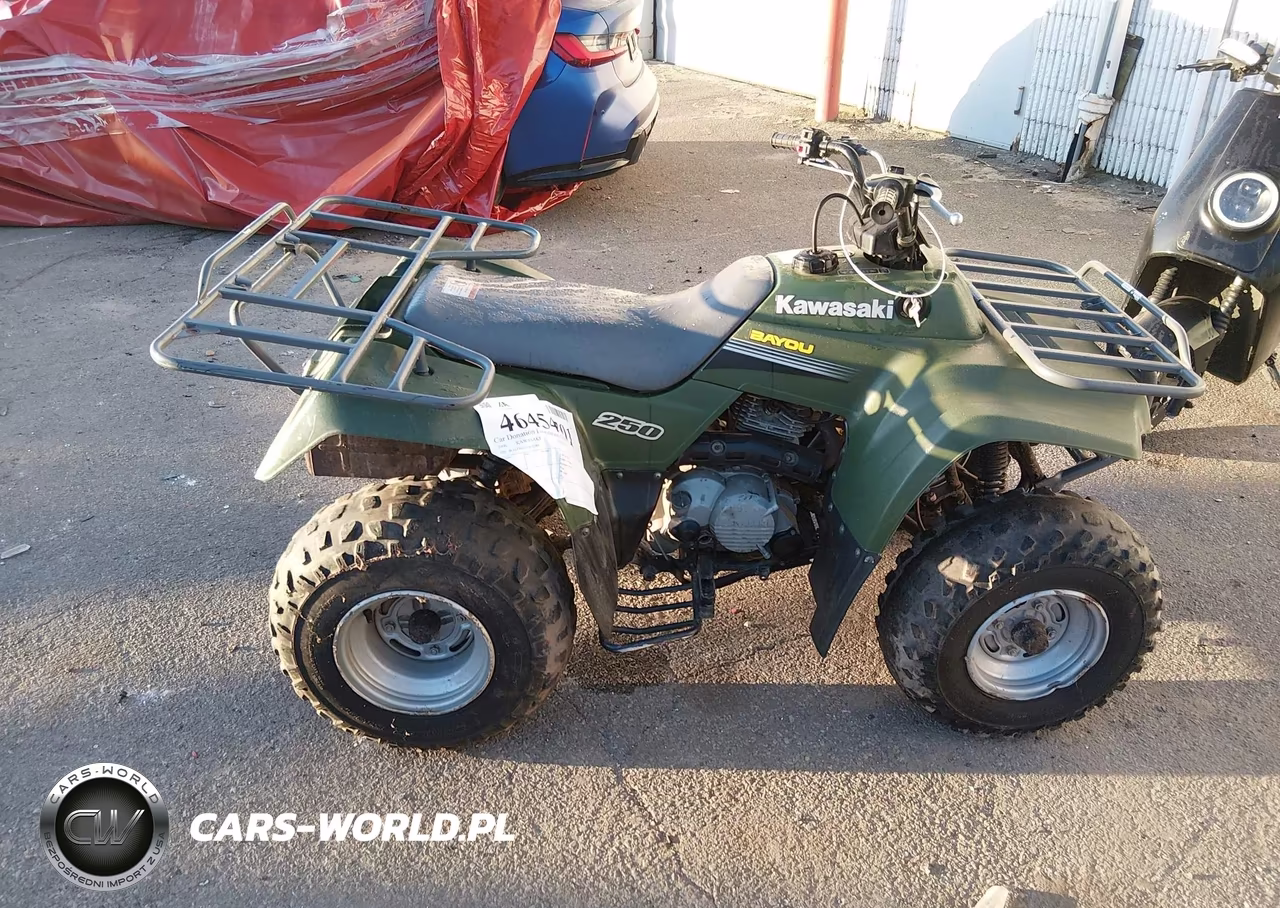 2006 Kawasaki Klf250 A Bayou VIN:JKALFMA116B553841 - 13